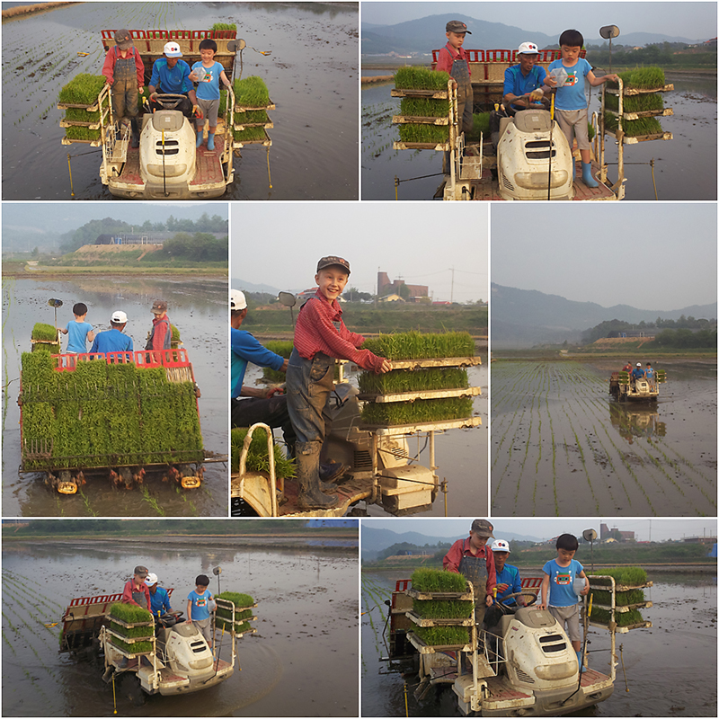 Protected: Rice Education Part III