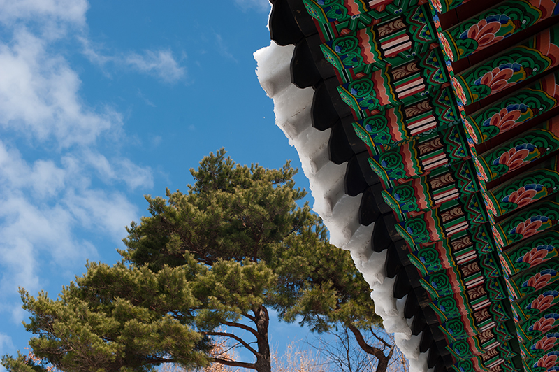 Protected: The Dragon – Pohang